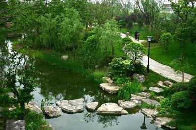 南通五水公園綠化景觀工程即將開工，打造城市生態新地標