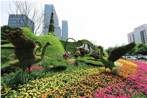 運(yùn)動與自然的完美融合 專業(yè)定制騎自行車健身主題仿真綠雕造型