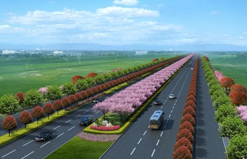 新機(jī)場大道景觀綠化工程正式開工，打造城市生態(tài)走廊